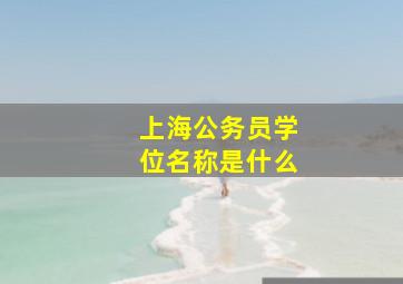 上海公务员学位名称是什么