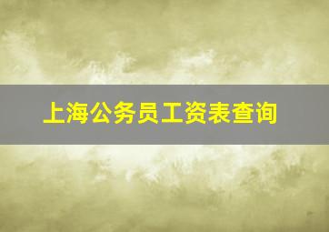 上海公务员工资表查询