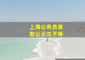 上海公务员录取公示沈子琳