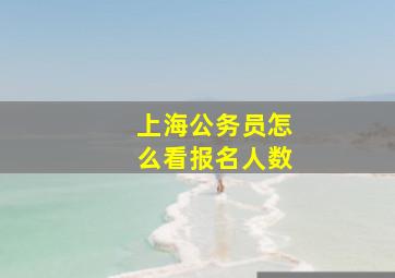 上海公务员怎么看报名人数