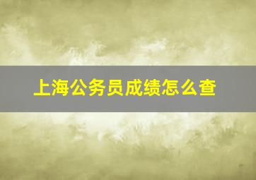 上海公务员成绩怎么查