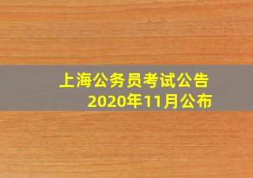 上海公务员考试公告2020年11月公布