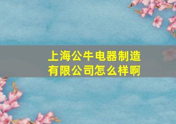 上海公牛电器制造有限公司怎么样啊