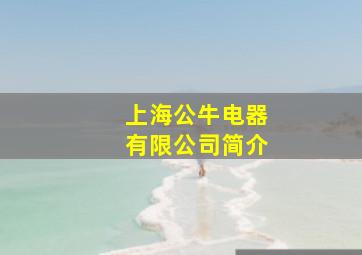 上海公牛电器有限公司简介