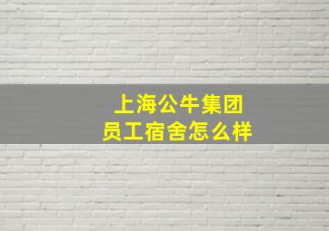 上海公牛集团员工宿舍怎么样