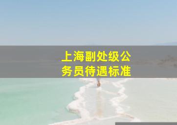 上海副处级公务员待遇标准