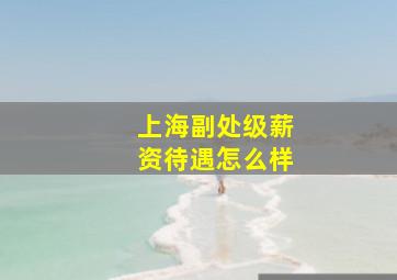 上海副处级薪资待遇怎么样