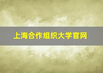 上海合作组织大学官网