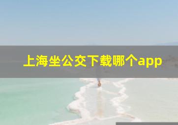 上海坐公交下载哪个app