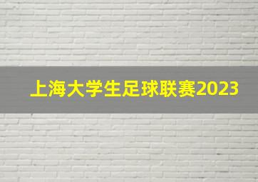 上海大学生足球联赛2023