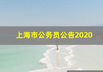 上海市公务员公告2020