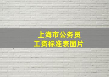 上海市公务员工资标准表图片