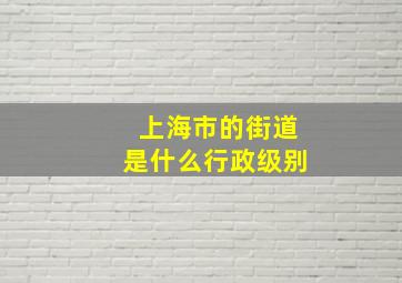 上海市的街道是什么行政级别