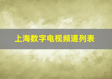 上海数字电视频道列表