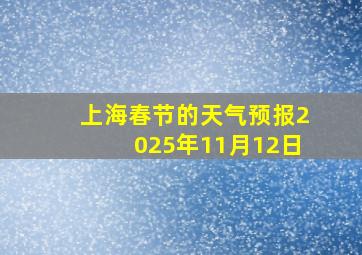 上海春节的天气预报2025年11月12日