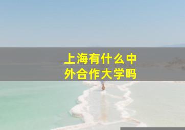 上海有什么中外合作大学吗