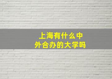 上海有什么中外合办的大学吗