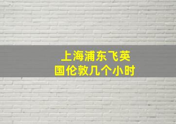 上海浦东飞英国伦敦几个小时