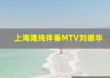 上海滩纯伴奏MTV刘德华