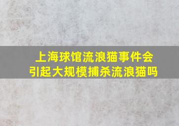 上海球馆流浪猫事件会引起大规模捕杀流浪猫吗