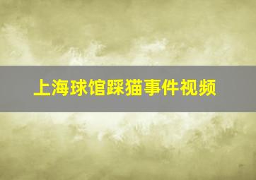 上海球馆踩猫事件视频