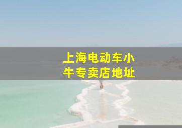 上海电动车小牛专卖店地址