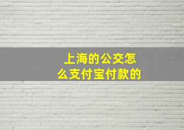 上海的公交怎么支付宝付款的