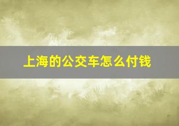 上海的公交车怎么付钱