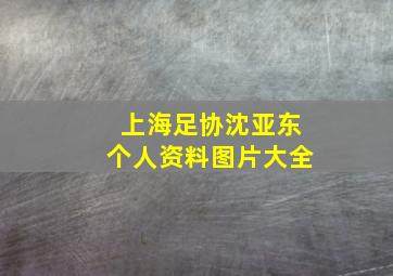 上海足协沈亚东个人资料图片大全