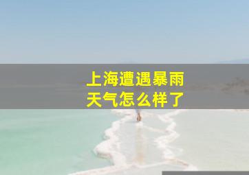 上海遭遇暴雨天气怎么样了