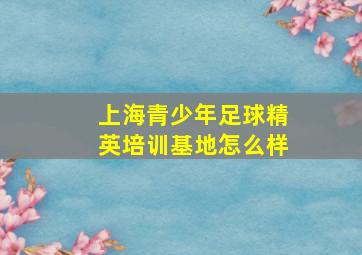 上海青少年足球精英培训基地怎么样