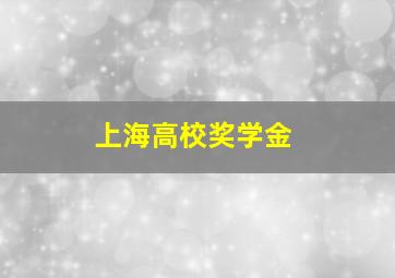 上海高校奖学金