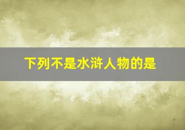 下列不是水浒人物的是