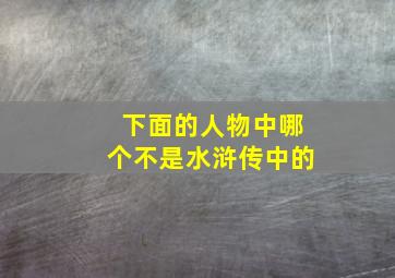 下面的人物中哪个不是水浒传中的