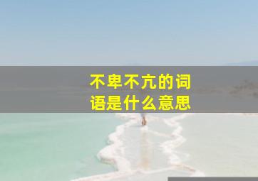 不卑不亢的词语是什么意思