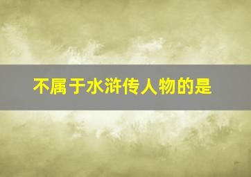 不属于水浒传人物的是