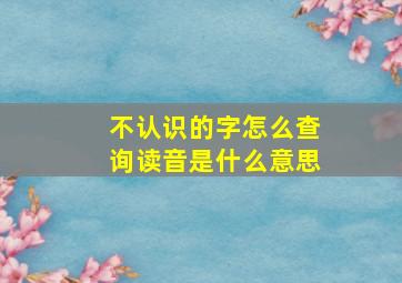 不认识的字怎么查询读音是什么意思