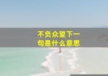 不负众望下一句是什么意思