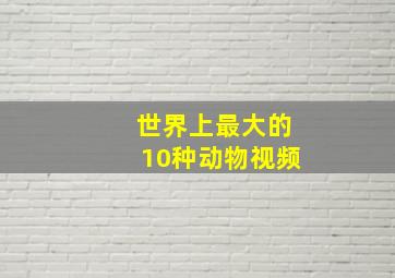 世界上最大的10种动物视频