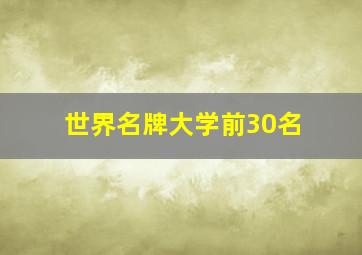 世界名牌大学前30名