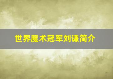 世界魔术冠军刘谦简介