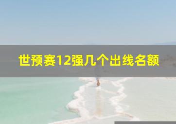 世预赛12强几个出线名额