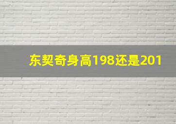 东契奇身高198还是201