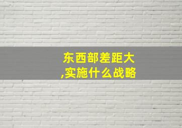 东西部差距大,实施什么战略