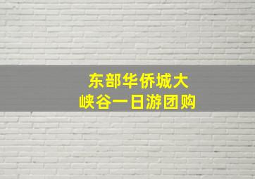 东部华侨城大峡谷一日游团购