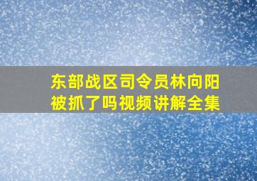 东部战区司令员林向阳被抓了吗视频讲解全集