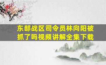 东部战区司令员林向阳被抓了吗视频讲解全集下载