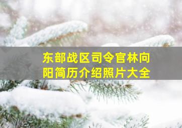 东部战区司令官林向阳简历介绍照片大全