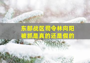 东部战区司令林向阳被抓是真的还是假的