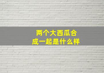 两个大西瓜合成一起是什么样